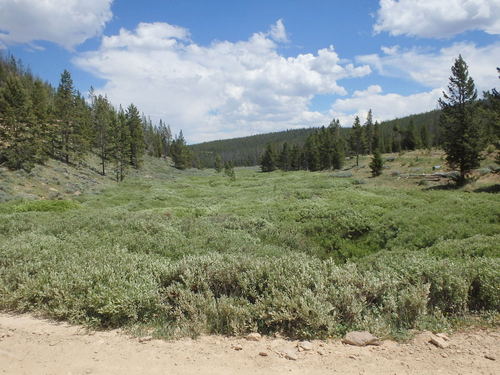 GDMBR:  Another Creek Crossing (dry).